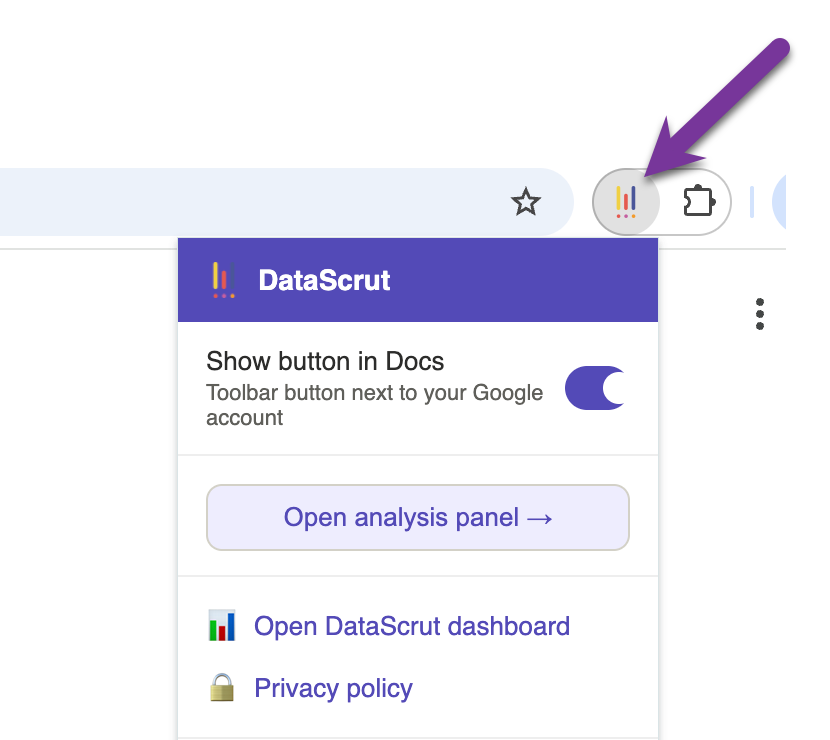 DataScrut side panel showing analysis results